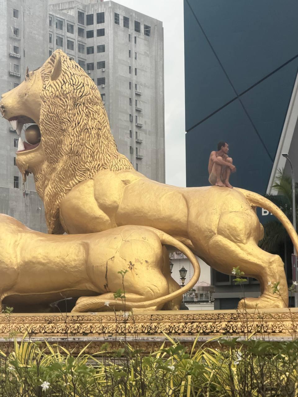 阳呀