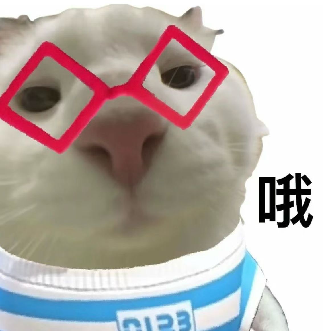 呵呵汗