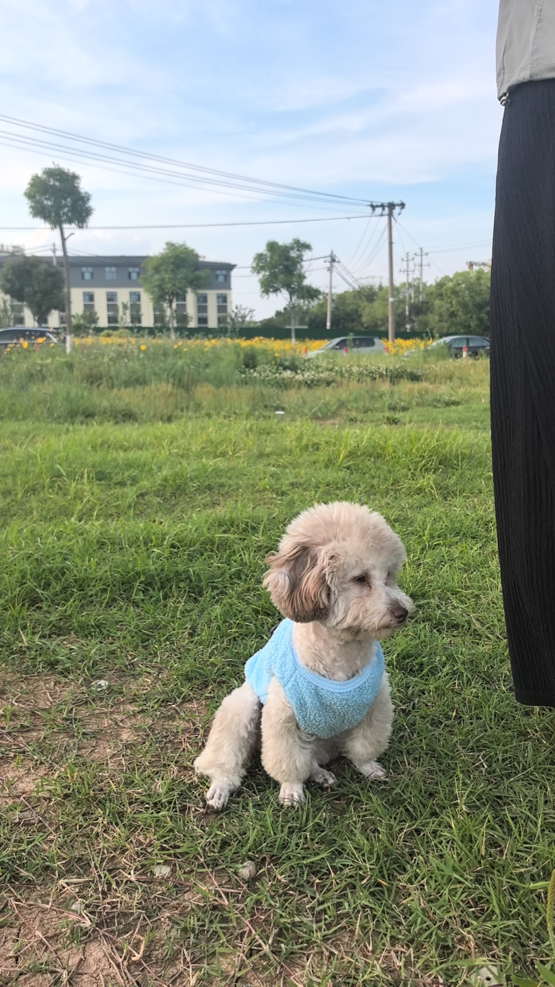 爱你不如睡你
