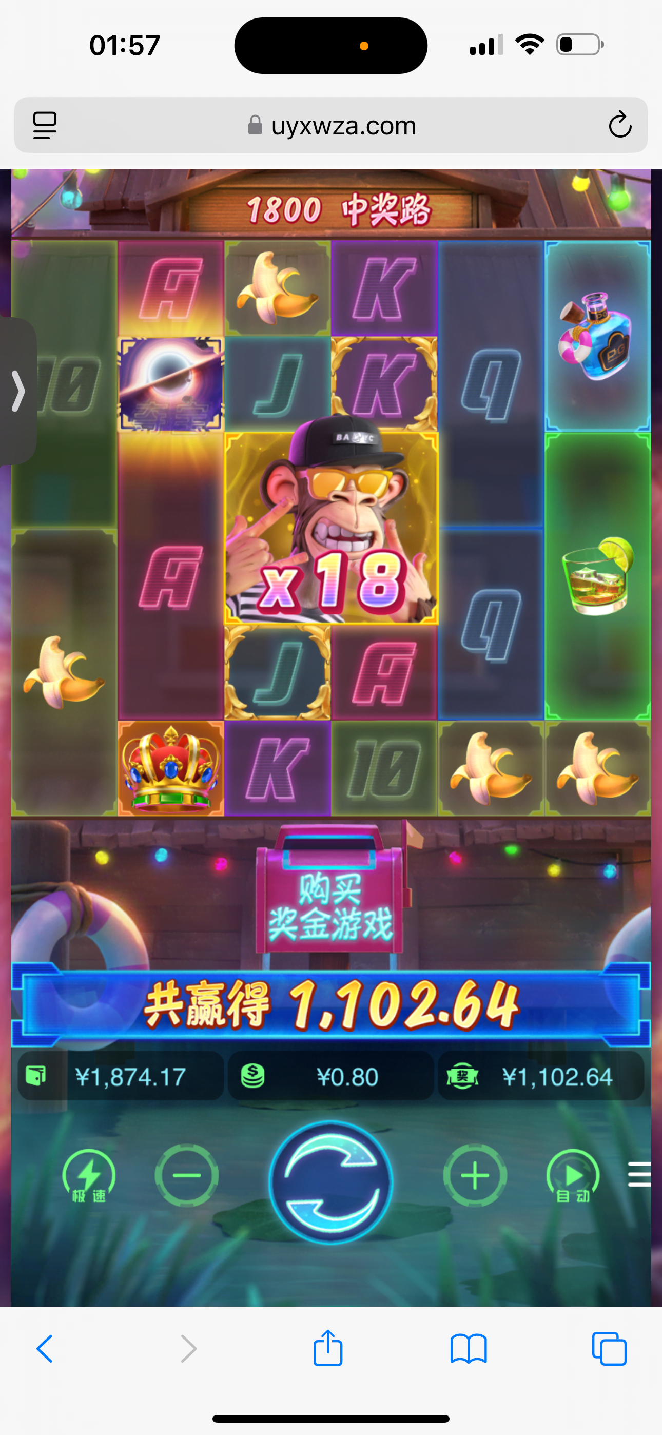 IMG_2485.png